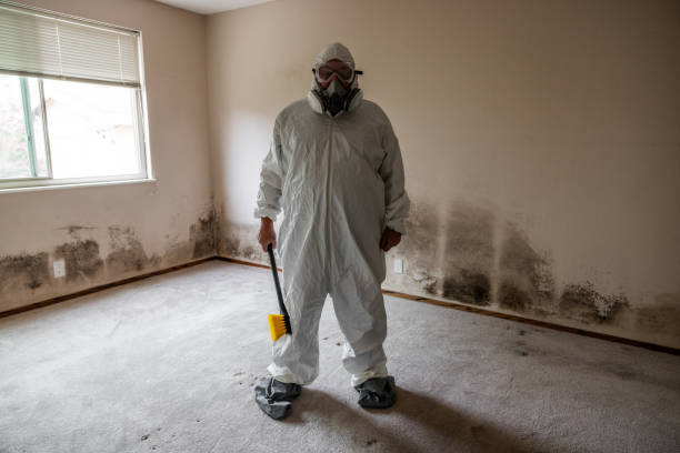 Best Residential Mold Removal  in Cologne, NJ